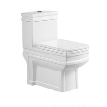 Hot Sale Washdown One-Piece Toilet to Middle East Market
